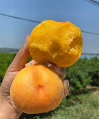 �������һ��� �óԵĶ�������