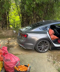 ������ҳ������������Ļ������������˶���Ĭ�ˡ�