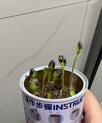 �ҵ����տ���ô�ˣ���������̽�����ô����������