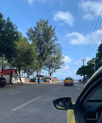 ǸԽ֮ã20ɫϴͷƵû