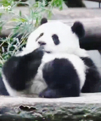 ������ֵ�������ı�����ͯT��3��49���˼��մ�ˮ12ƿ25