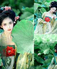 ��ȥ�����յ�һ���ɻ���û����ֻ�к�Ҷ