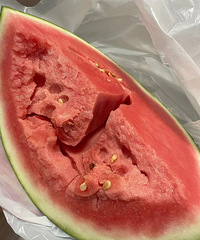 ���и��󵨵��뷨�����������5��ֻ�����ϻ������