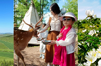 һϰȫҺױУӺܸˣ¶