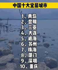 ������ѡ�й��˾ӳ�������ǰʮ����ҵĸо���Σ�