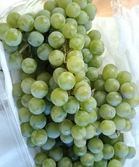 õ�������ѣ���ظ���ζ���о����ڳԱ���һ��