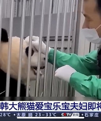 爱宝二胎宝宝将出生,网友参与取名