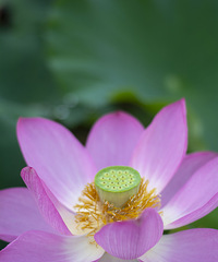 ���山�������