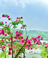 һ����ҲҪ�úù���ÿһ�죬�����ҵ�ͽ����ɽ���