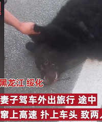 �Լ��η��޸����ϱ�����ײ�����������˳�ͷ���˷�����ˤ������