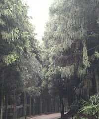 ��ĩ�Լݷɸ��ֳ���������4�����ˮ�Ϲ�·������ʵ�ڲ�Ҫ̫��ˬ