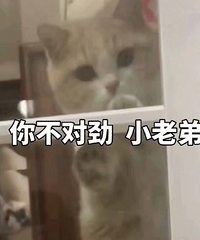 ���Զ�ϴ�������о��ֵֹģ��ǲ��Ƿŵ���������ϴ��������