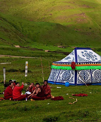 �Ĵ�����ѡ��15��ֵ���Լ�ȥ�����ŵأ���˵ȫ��ȥ������ֻ��1%