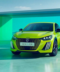 ���ǵϺ�Ÿ������Ÿ��ŷ��������ʹ�������E-208�е���