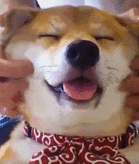 һЩ�ļ���������С���У��б������ŵĿ��Գ���ƻ���������ã�