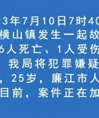 广东25岁男子幼儿园行凶6死1伤