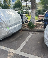 ����ʬ����Խ��Խ�ձ��ˣ���Ҫ�Ǽ��궼�����������˰�