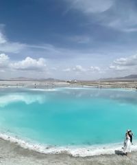 ����������ˣ��ʻ��ߣ��ƻ����ϵ�����һ·������ʳ��������