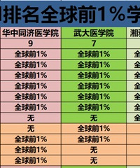 �����ҽ����Դ��ˮƽ����˵�ǽ����ھ�����̫�͵�