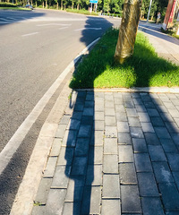 ��Ȼѡ���������Ǿ͵�ͷ����������