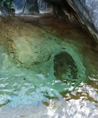 ȥ������ҰӾ���������ϸ統�ɸ�ʬ�ˡ���