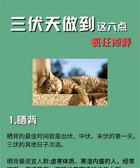 三伏天想掉秤的一定要注意这6点,燃烧脂肪的速度能提高好几倍!