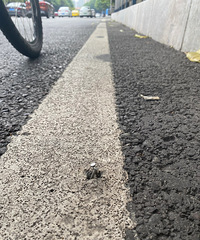 ��������������·�öඤ�ӣ����������ö࣬��ز������ܹ�ѽ