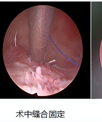 ���������������и��ױ���Ժ�ɹ���չ��ǻ���������ֻ���Ϲ̶���