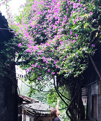 87��160CM����ȫ���С������飬ϣ��������173����