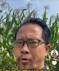 �������ԣ�¥ǧ���ַ��������ۣ������ô��¥ǧ������ۣ�