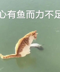 ����ʧȥ�������ǴӰ��ϵ��㿪ʼ��