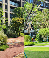 �ڴ���ˮ���ӽӷ�һ�꣬�о��̻��Ѿ��ر������