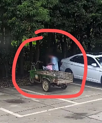 δ���������ҵ����ֳ����Լ�ײ��ȥ���ˣ���ΪʲôҪ�⳥��