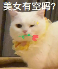 ������ֵ����ŷ�Ϸ�����2��128������������һ������11