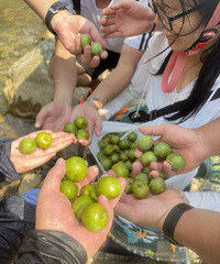 ˣˮ�컨����ϪϪ����ˮ�޵�