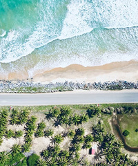 ʮ������Ρ�����