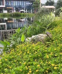 ��˵�Űӱ��ʮ���ƺ�С����ô��������һ�¡�