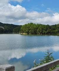 ����������������ۣ��������������