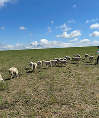 һ�żپͳ���-���ױ������ԭ�����Ρ�2023�����μǡ�