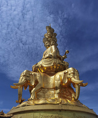 ��ٴ����ζ�ü