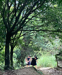 �°�ͳ塪��ɽ����ʯ��ҹ��