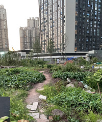 ����ʯδ������ҵ���Ľ�����β��״��ϣ�����������������ڶ���