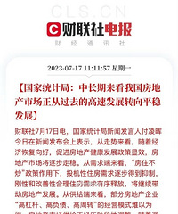 �г��������ҹ����ز��г����ӹ�ȥ�ĸ��ٷ�չת��ƽ�ȷ�չ