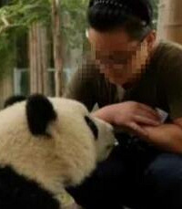 网红熊猫饲养员“出轨睡粉”被曝光