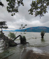 ����+��������������������������ҵ