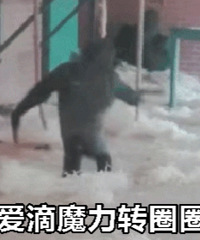 ������ֵ����Refrear����10Ƭ19��ѩ�������˪69