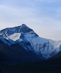 90갮õ㡢Լݺ¶Ӫĸ飬ϣԷ88~95