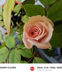 �����ֵ�õ�壬�ڶ��ȿ����ˣ�