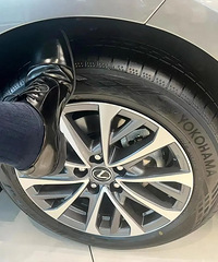 ֻҪ������ǿ�������Ҫ��ȥ��һ�³�̥������Ϊʲô��