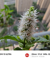 ³˫зݣҿˡ˫ʺ硱Ҳһοɿ